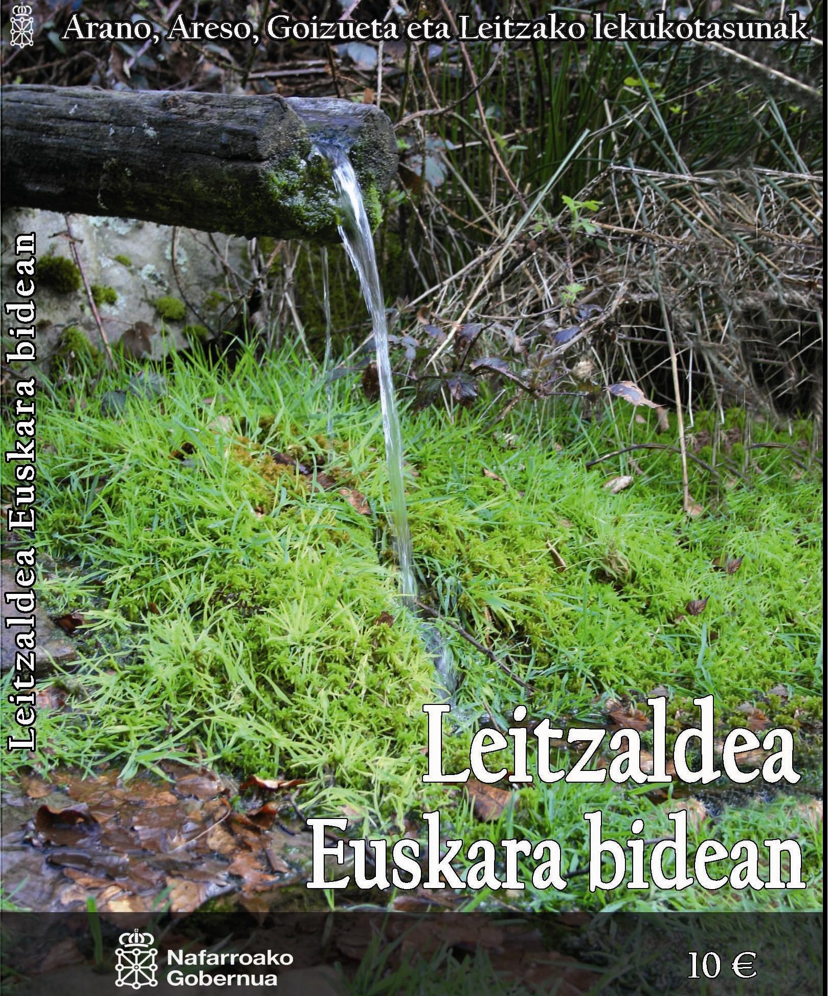 El DVD "Leitzaldea, Euskara Bidean"